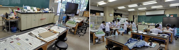 6年Advanced Biology 神経系の観察